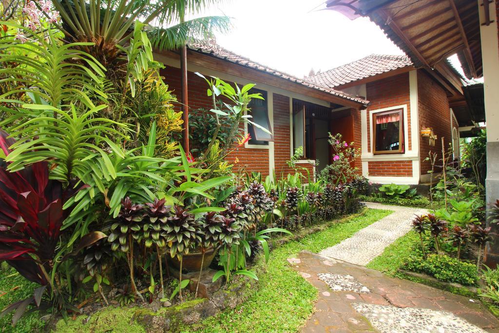 Made Homestay Munduk Extérieur photo