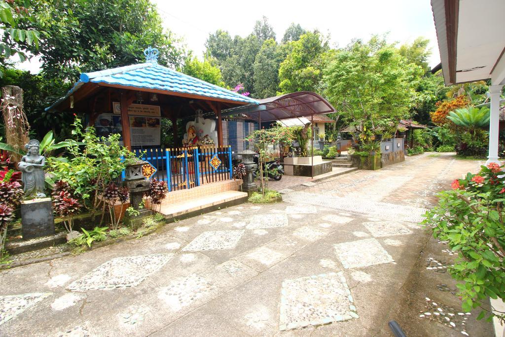 Made Homestay Munduk Extérieur photo