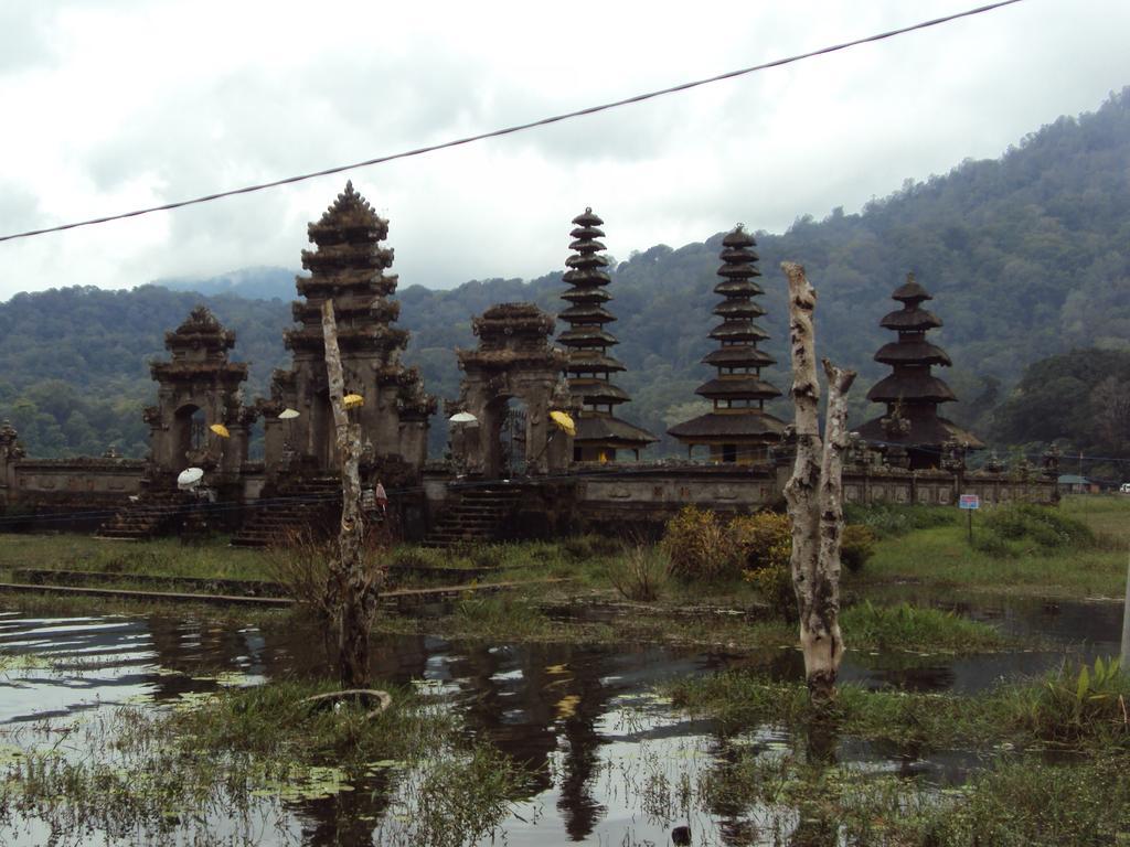 Made Homestay Munduk Extérieur photo