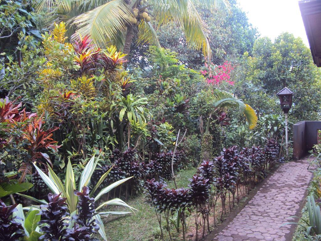Made Homestay Munduk Extérieur photo