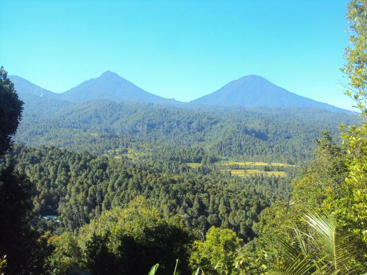 Made Homestay Munduk Extérieur photo